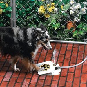 Pet-Controlled Water Fountain