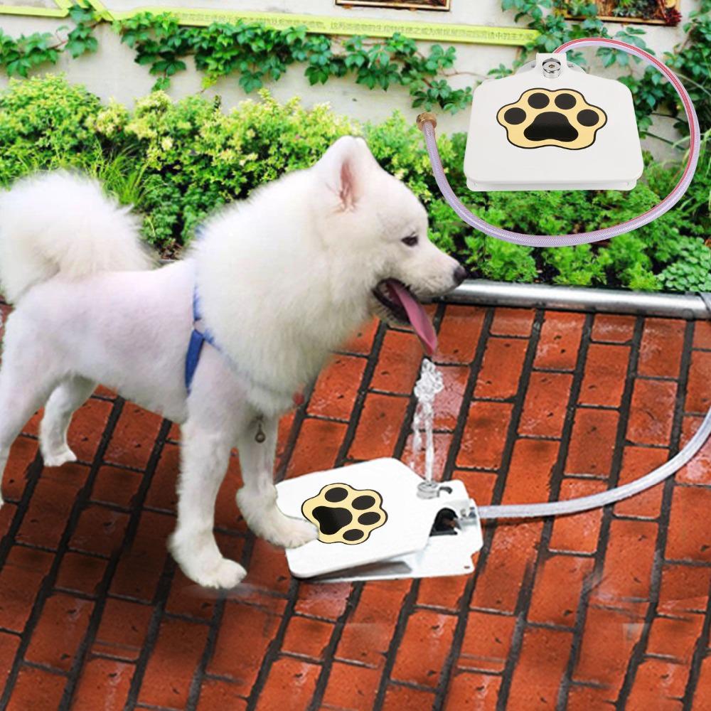 Pet-Controlled Water Fountain