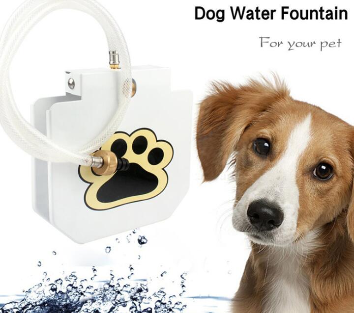 Pet-Controlled Water Fountain