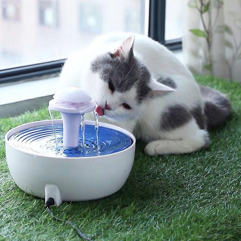 Circulating Water Fountain