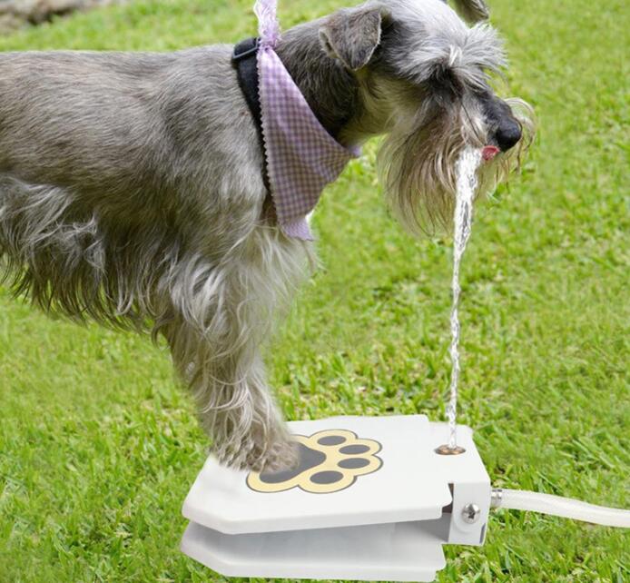 Pet-Controlled Water Fountain