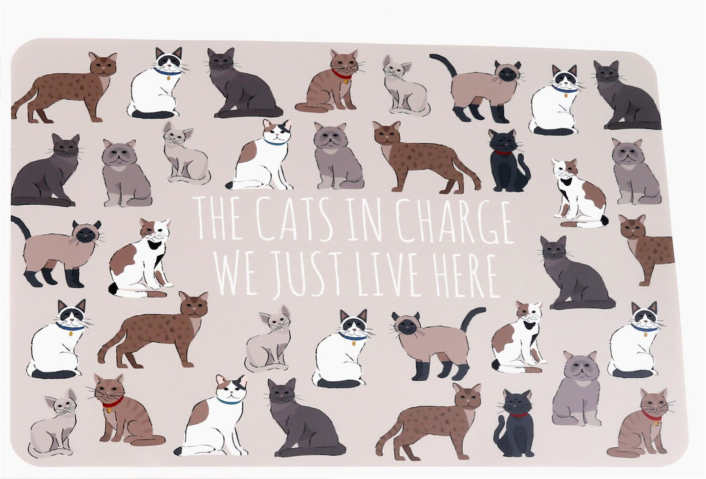 Wipeable Cat Themed Placemat 30x45cm-4