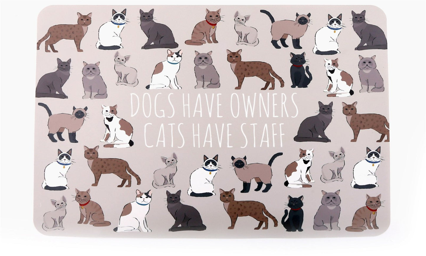 Wipeable Cat Themed Placemat 30x45cm-3