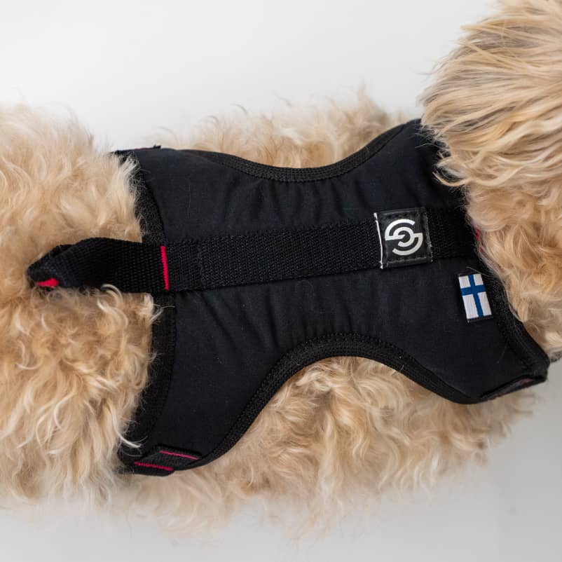 Dog Harness for city dogs CASU3-4