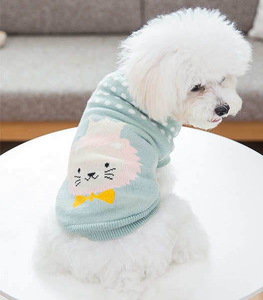 Cute and Cosy Dog Jumpers
