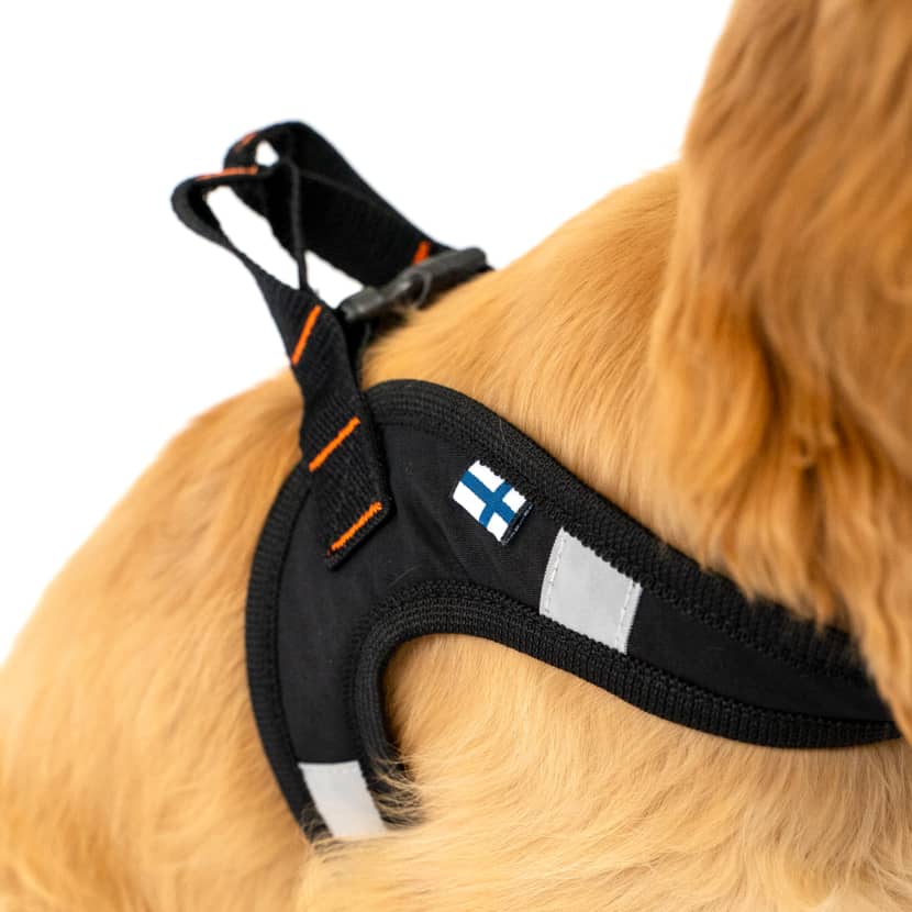 Harness for dogs who hate harnesses CASU1-6