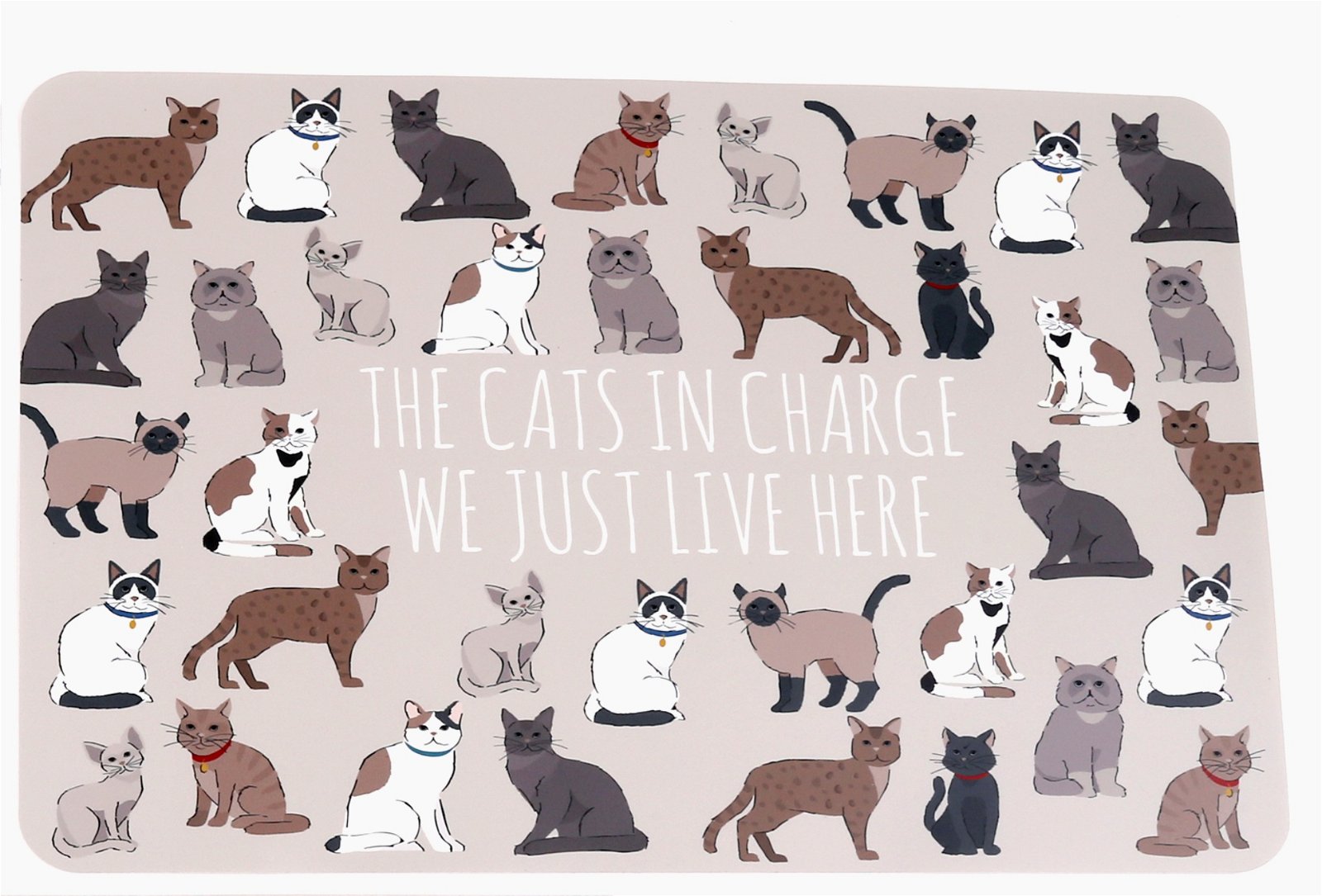 Wipeable Cat Themed Placemat 30x45cm-4
