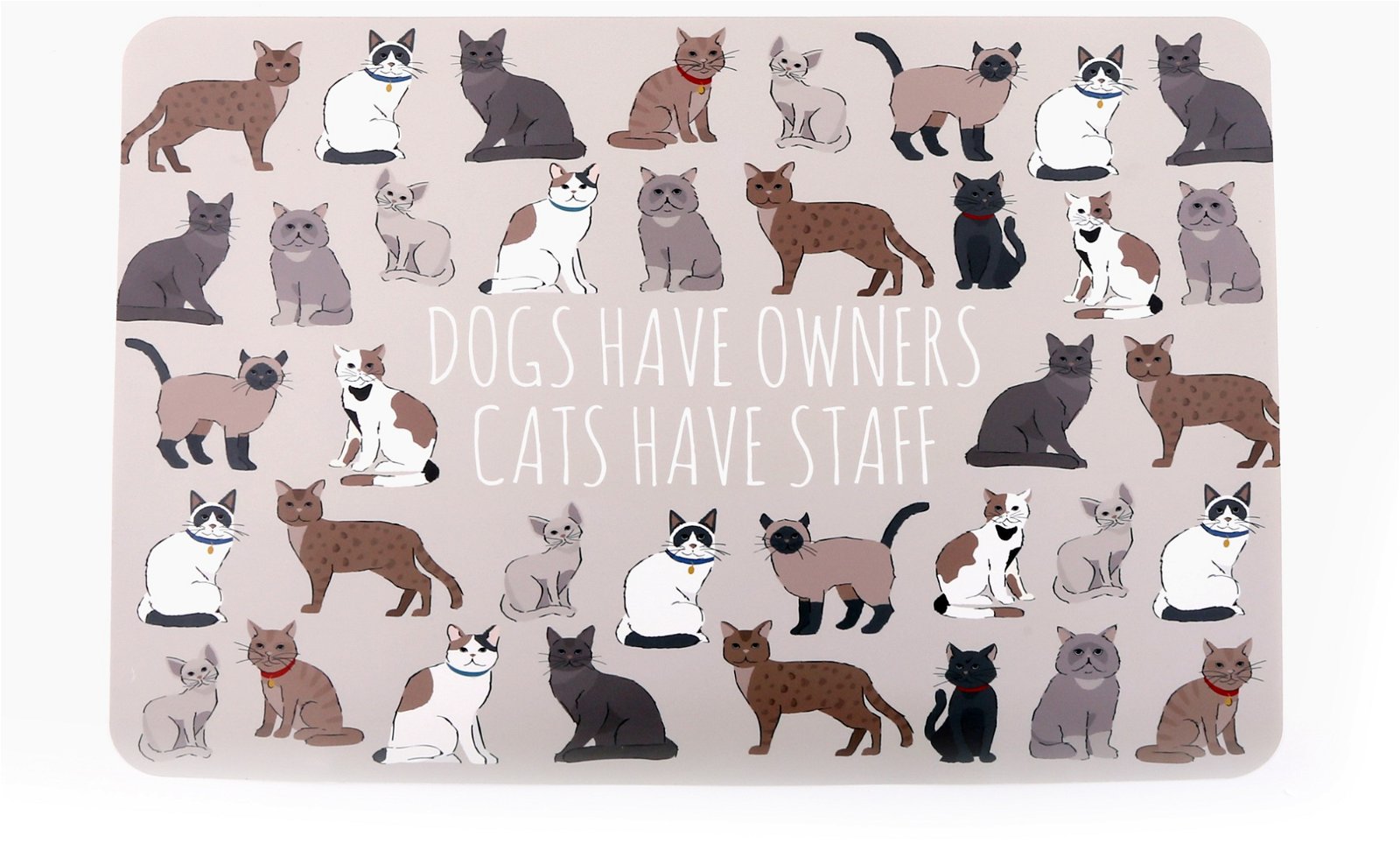 Wipeable Cat Themed Placemat 30x45cm-3