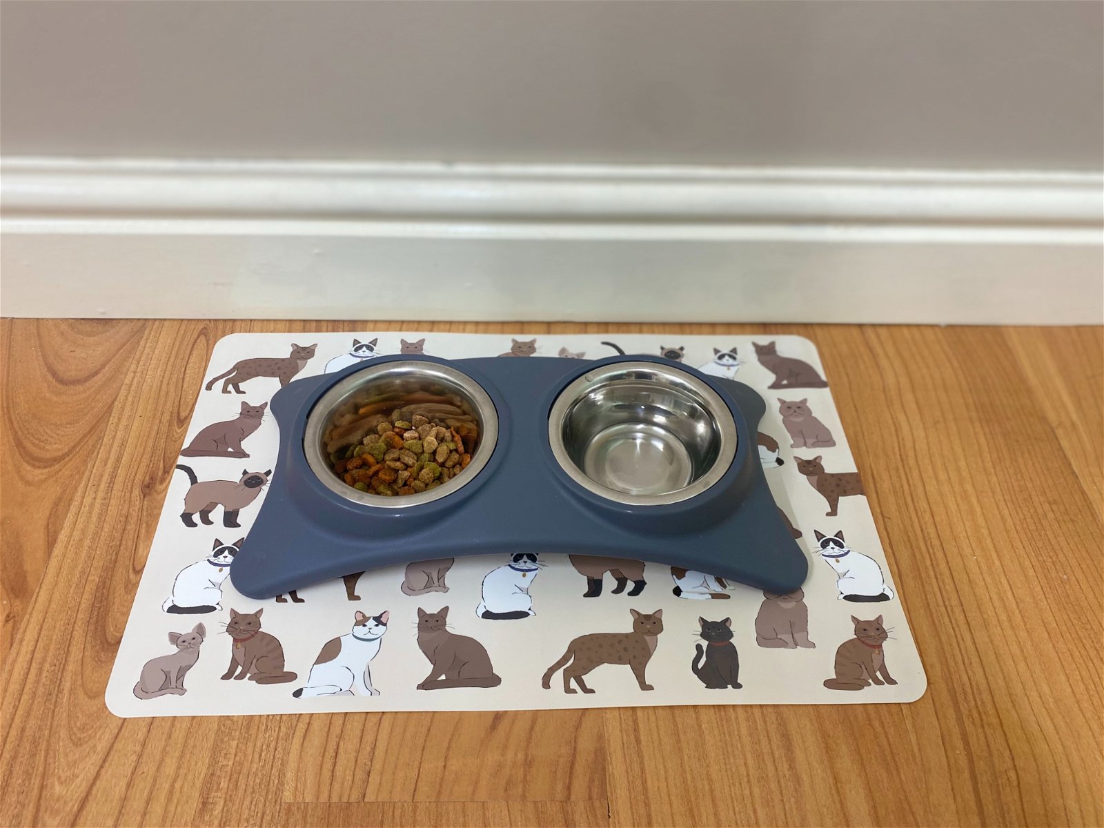 Wipeable Cat Themed Placemat 30x45cm-2