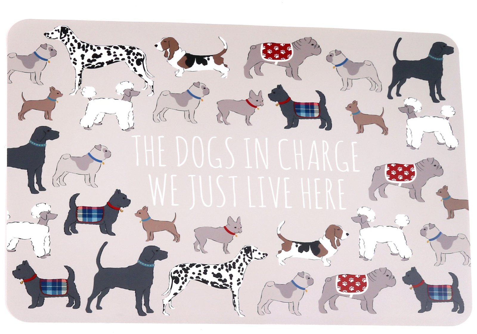 Wipeable Dog Themed Placemat 30x45cm-4