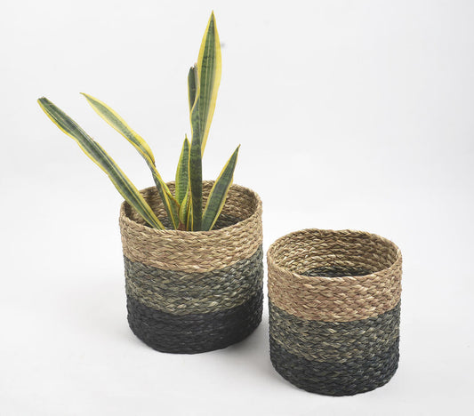 Earthy Sabai Grass Handwoven Planters (Set of 2)