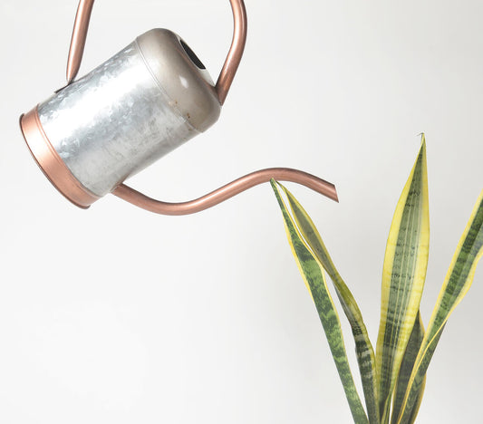Handmade Glossy Metal Watering can